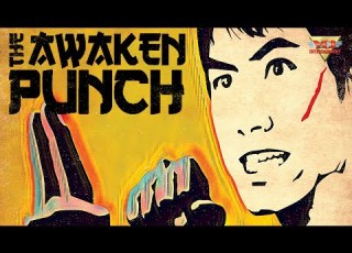 Awaken Punch Aka Fury Of The Black Belt Promo