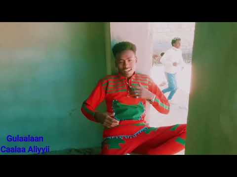Caalaa Aliyyii ADDAATAA KILAASHIIN New Oromoo Music 2025