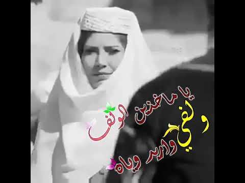 ياماخذين الولف ولفي واريد وياه