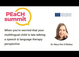  When You Re Worried That Your Multilingual Child Is Late Talking An SLT Perspective