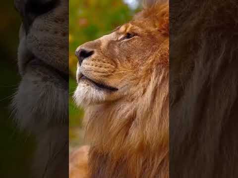 كلكم تحت الانظار