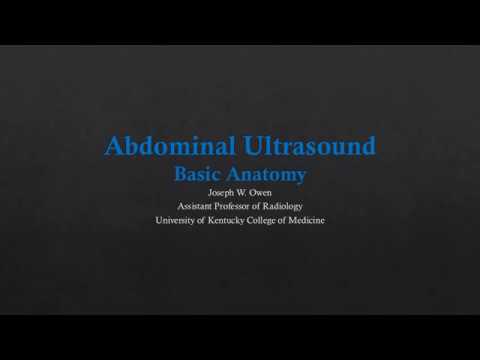 Abdominal US Basic Anatomy