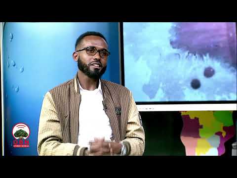 Yeroo Jaalalaa Akkas Hin Seene