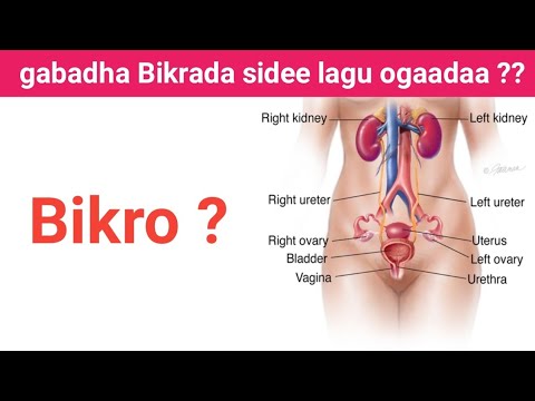 Bikrada Gabadha Ma Jabi Kartaa Guurka Ka Hor Iyo Sida Lagu Ogaado Gabadha Bikrada Ah