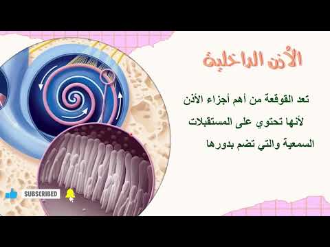 الأذن Ear الصف التاسع الدرس الخامس عشر