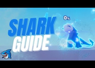  FULL SHARK GUIDE 274 COMBO PROJECT SMASH