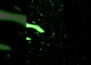 𝐍𝐎 𝐄𝐑𝐀 𝐀𝐌𝐎𝐑 𝐒𝐮𝐩𝐞𝐫 𝐒𝐥𝐨𝐰𝐞𝐝 Phonk Funk Phonkmusic Funkmusic Phonkbeats Bass Bassboosted