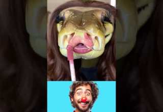 حية جميلة دويتو Fun ضحك كوميديا ترند شلتنا اعتني سعودية العراق سوريا لبنان الجزائر