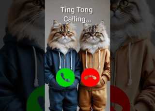  Ting Tong Calling Trendingshorts Callertone