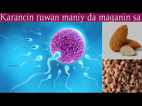 Maganin Karancin Maniyy Rashin Karfin Maniy Da Tsinkewar Maniy