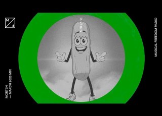 Pickle Mixing Alice Deejay James Hype Audio Bullys Many More Musical Freedom Radio March