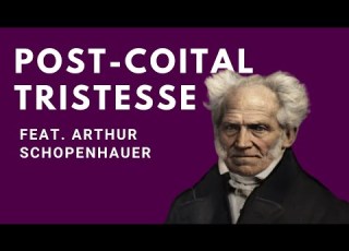 Why You Feel Sad After Sex Post Coital Tristesse Explained Feat Arthur Schopenhauer