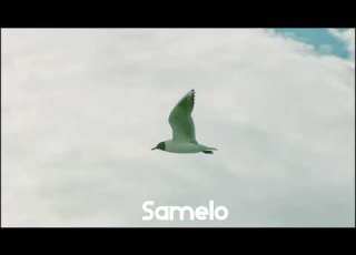 DNDM Let S Fly Samelo Remix