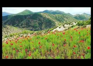 Khwit Bladi الفنان جلال المحجوب GSM 0667643491 0664185492
