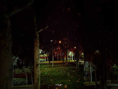 فكيف تغيب عن نظري