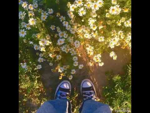 ليس مستحيل ان تحقق هدفك اغنيه امسك في حلمك بدون موسيقي اغنيه حماسيه للدراسه