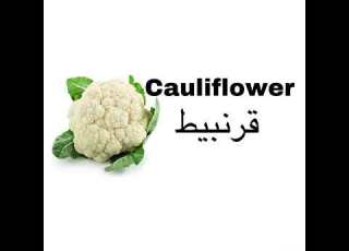  اسماء الخضروات باليزي Vegetables In English4