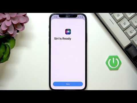 Why Isn T Siri Working On My IPhone Solutions And Tips