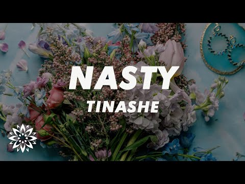Tinashe Nasty Lyrics I Ve Been A Nasty Girl Nasty