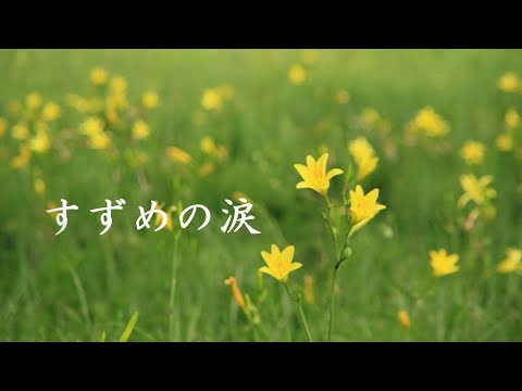 すずめの涙 桂銀淑