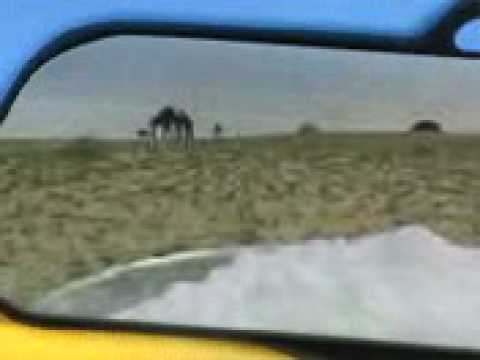 هواجيس بدوي Go To Arabian Desert