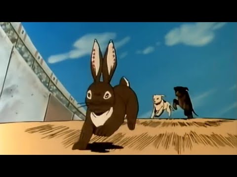 حكايات ما احلاها الأرنب برق مخلص صديق الحيوان Viral رسوم متحركة Cartoon Comedy Cute اغاني اطفال