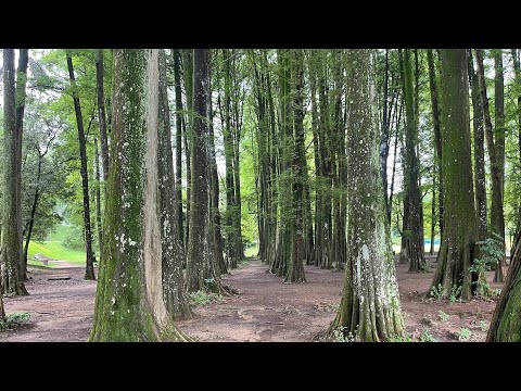 My Adventure With Lais