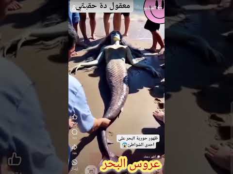 عروس البحر ظهور حوريه البحر علي الشاطئ