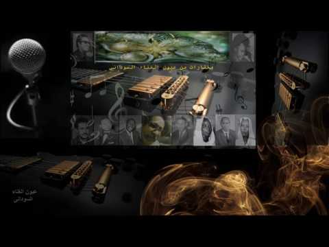 سيد خليفة حبيب مالك مشغول بالك