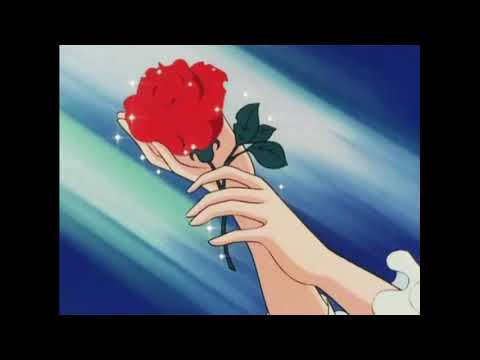 Wael Kfoury Omry Kolo Slowed وائل كفوري عمري كلو بطيء