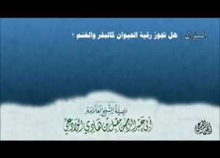  هل تجوز رقية الحيوان كالبقر والغنم الشيخ مقبل الوادعي رحمه الله تعالى