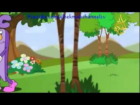 ببغاء يتعلم الهجاء حرف أ YouTube