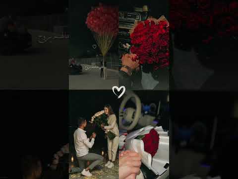 كل سنه وحبنا يزيد نور الزين حالات واتس