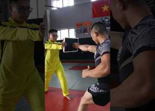 Thách Top 1 Jiu Jitsu Việt Nam Cú đấm 1 Inch Của Lý Tiểu Long Đào Hồng Sơn Challenge Lytieulong