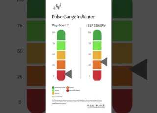 Pulse Gauge Magnificent 7