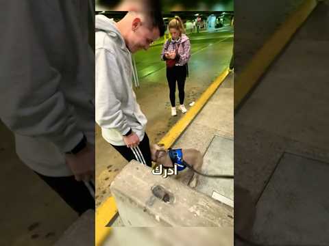 عودة الكلب إلى صاحبه بعد سنوات