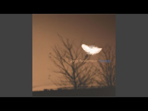 Corazón De Luz Y Sombra