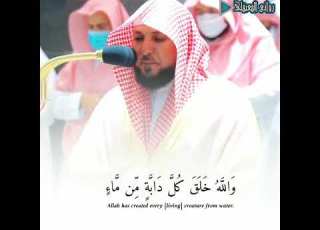  والله خلق كل دابه ترتيل كردي بديع لفضيلةالشيخ د ماهر المعيقلي من سورةالنور روائع المعيقلي Shorts