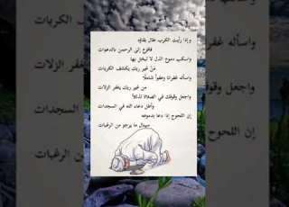 وإذا رأيت الكرب طال بقاؤه حالات واتس خواطر حكمة اليوم   ستوريات عبارات روائع علم النفس