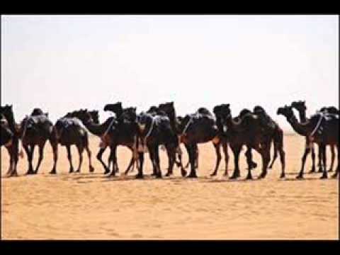 مزاين نجران شيله منقية حسين بن خرصان ال سالم الوعله يام