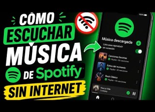 Download Unlimited Spotify Music ViWizard Spotify Music Converter
