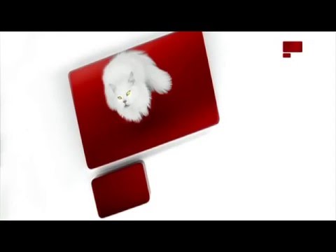 MBC Variety Countinuty February 2016