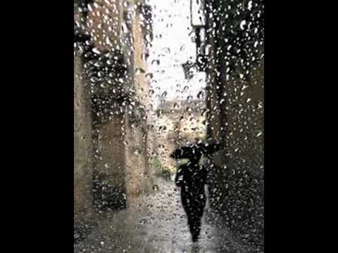 نعيم الشيخ تحت الشتي رحتي