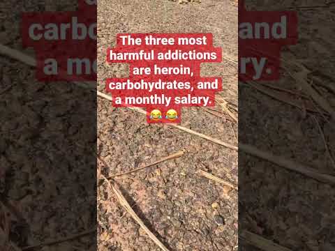 The Three Most Harmful Addictions In Life Shorts Streeceo Youtubeshorts Addiction Nigahiga