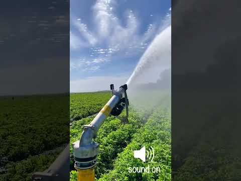 شاهد قوة رشاش الماء للخضار