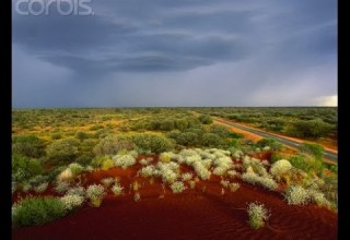 ياحظ كثر العنى منهو على شانه كلمات ابن بديع الشهراني