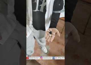  نموذج جيليسبي