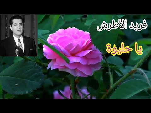 فريد الأطرش يا حليوة روعة السهل الممتنع وزهور جميلة