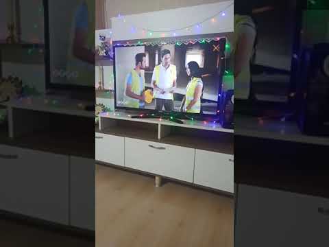 شردت الغزالة لا لا