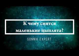  What Do Little Chickens Mean In Dreams Online Dream Interpretation Expert
